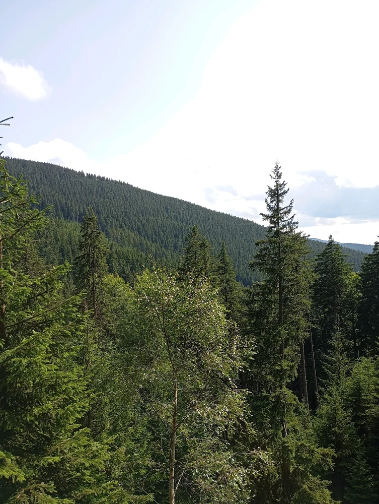 Obrázek nahrál Vojtěch