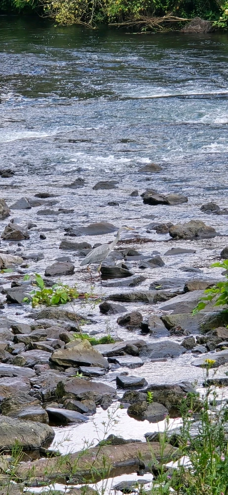 Bild hochgeladen von Klaus