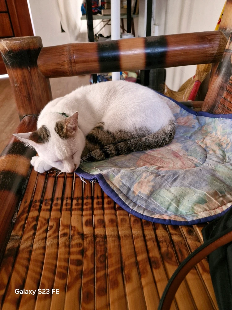 Bild hochgeladen von Liza