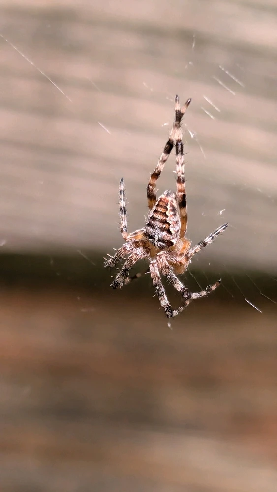 Obrázek nahrál Matěj