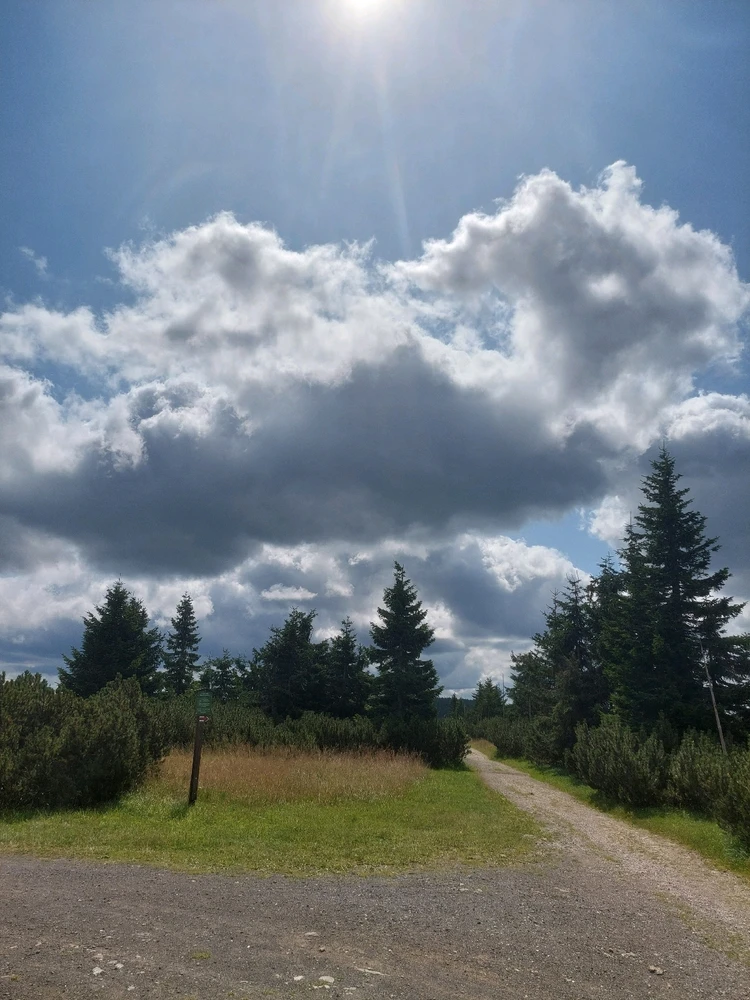 Obrázek nahrál Táňa