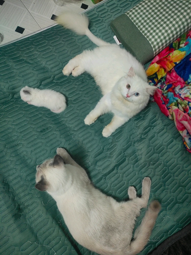 Image uploaded by Em