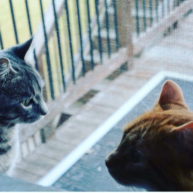 Image uploaded by Trevor