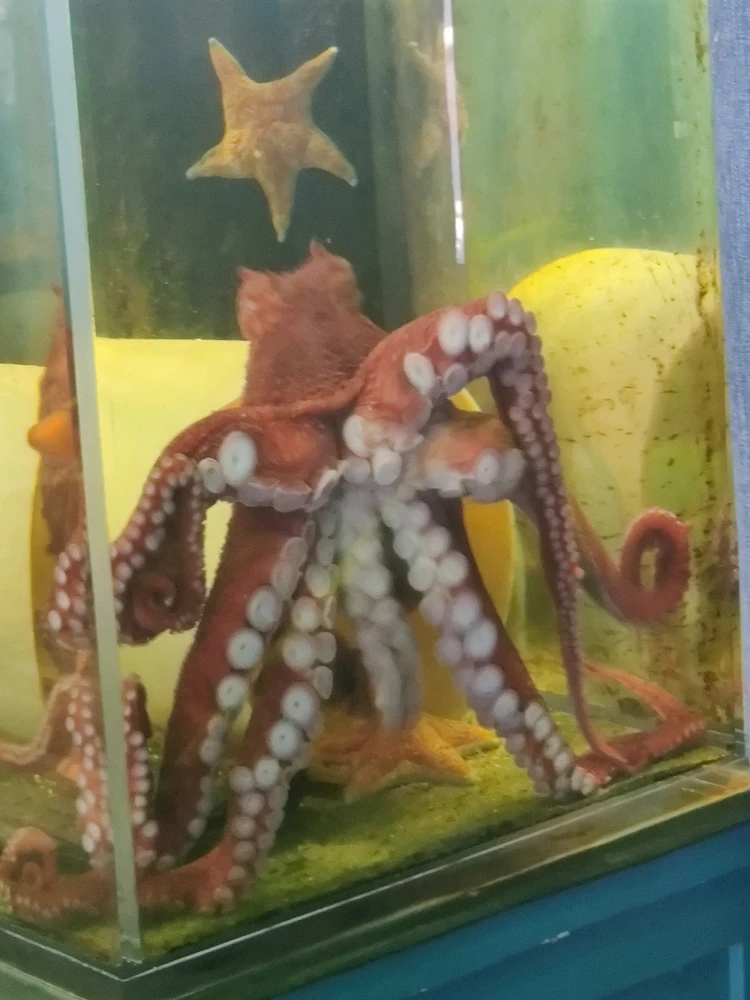 Image uploaded by Evynn