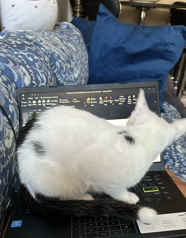 Image uploaded by Catherine