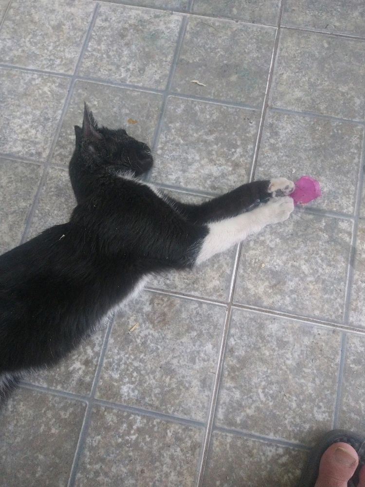 Oscar(e)k igotako irudia