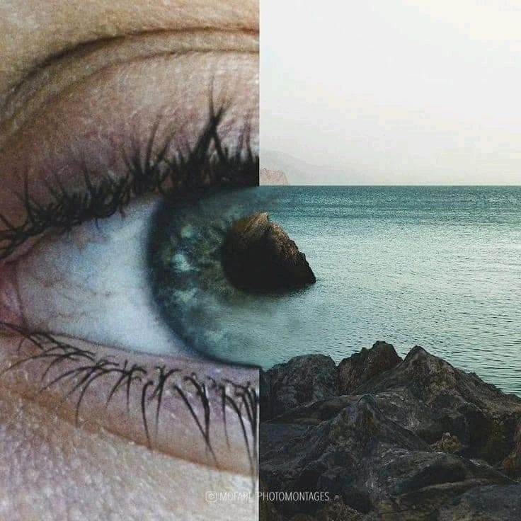 Image ajoutée par Dorian🐞