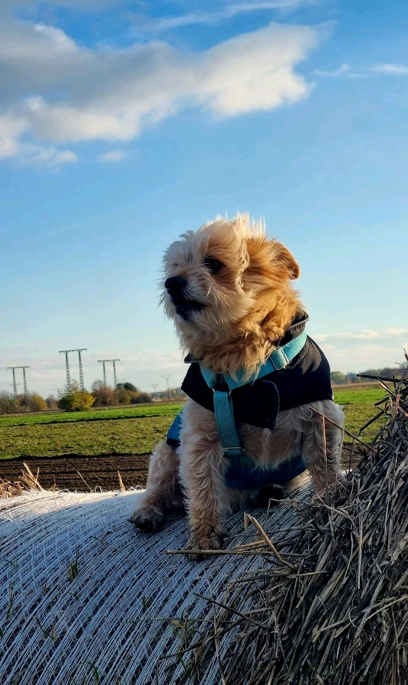 Zdjęcie dodane przez Dawid