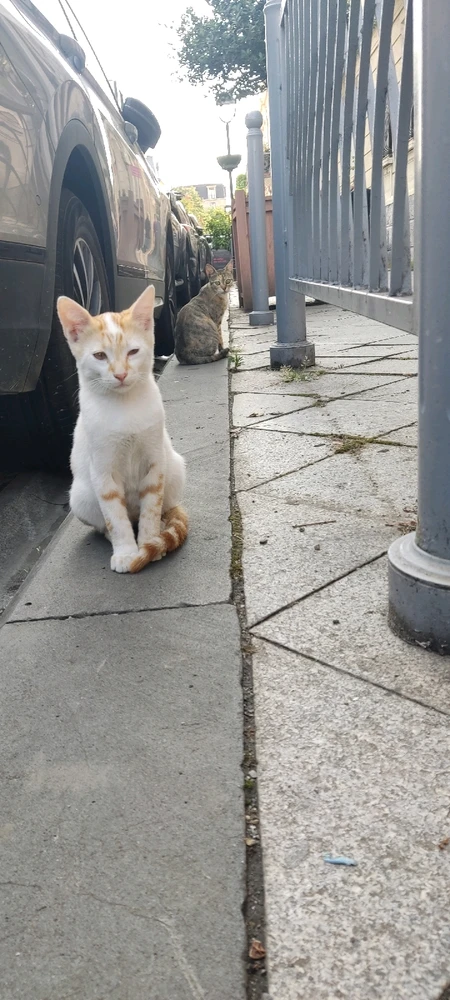 Фото загрузил Julia