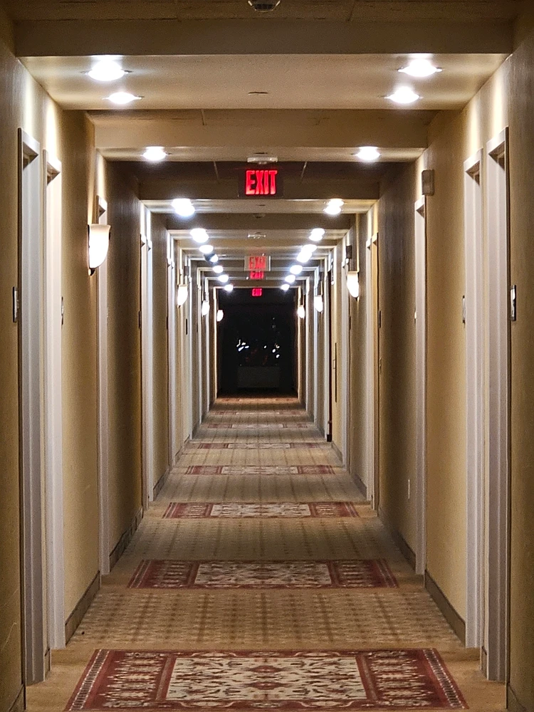 Image uploaded by Tommy