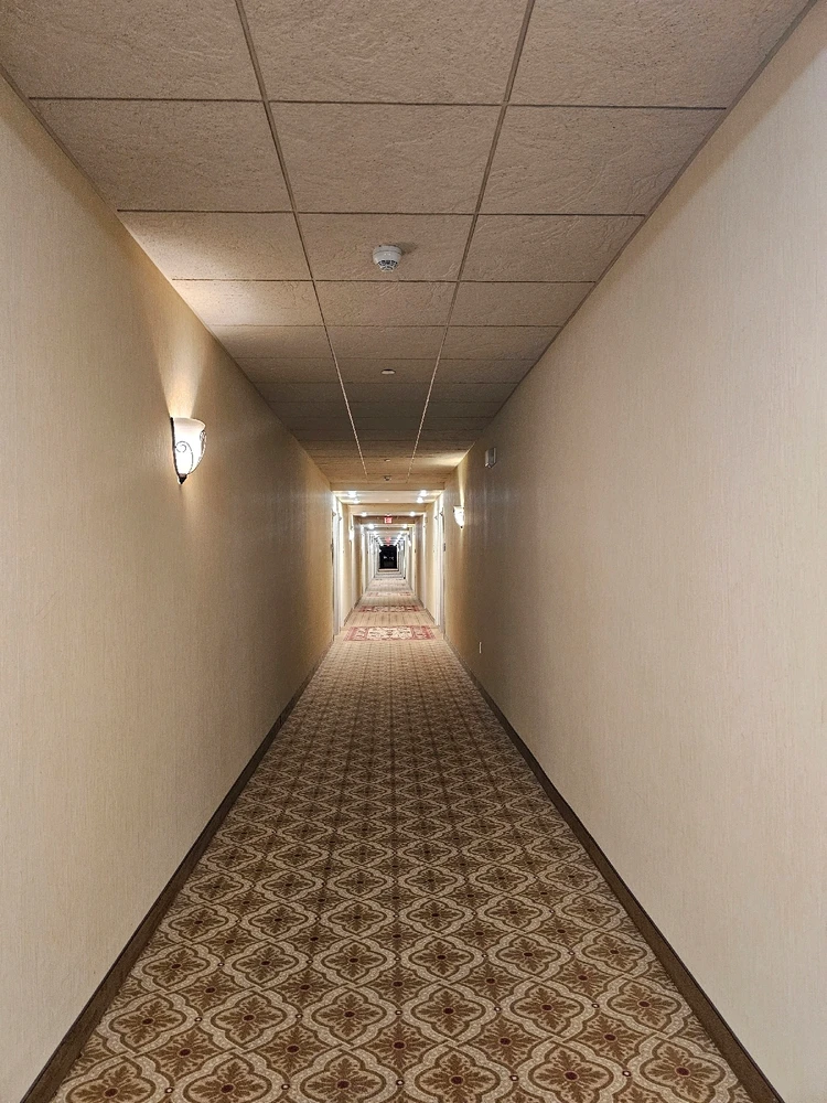 Image uploaded by Tommy