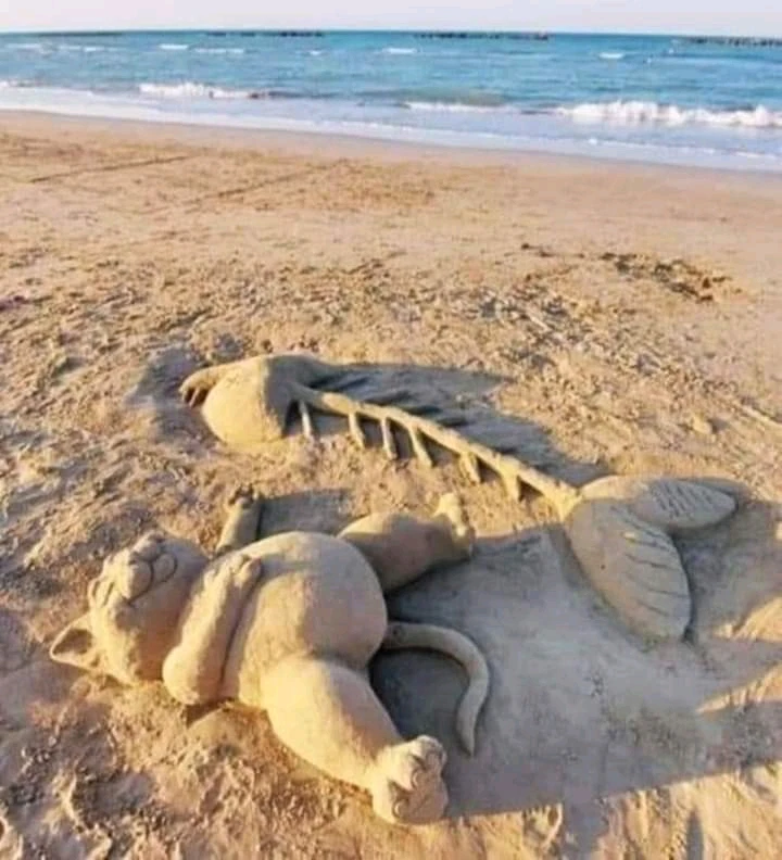 Image ajoutée par Ꭻລԁ𝙚