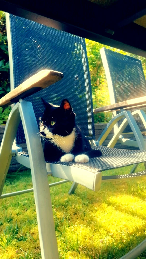 Bild uppladdad av Nova