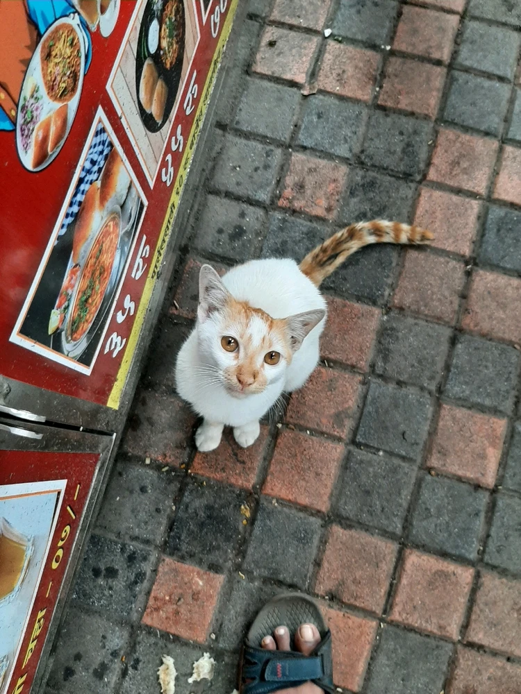 Image uploaded by Abhishek