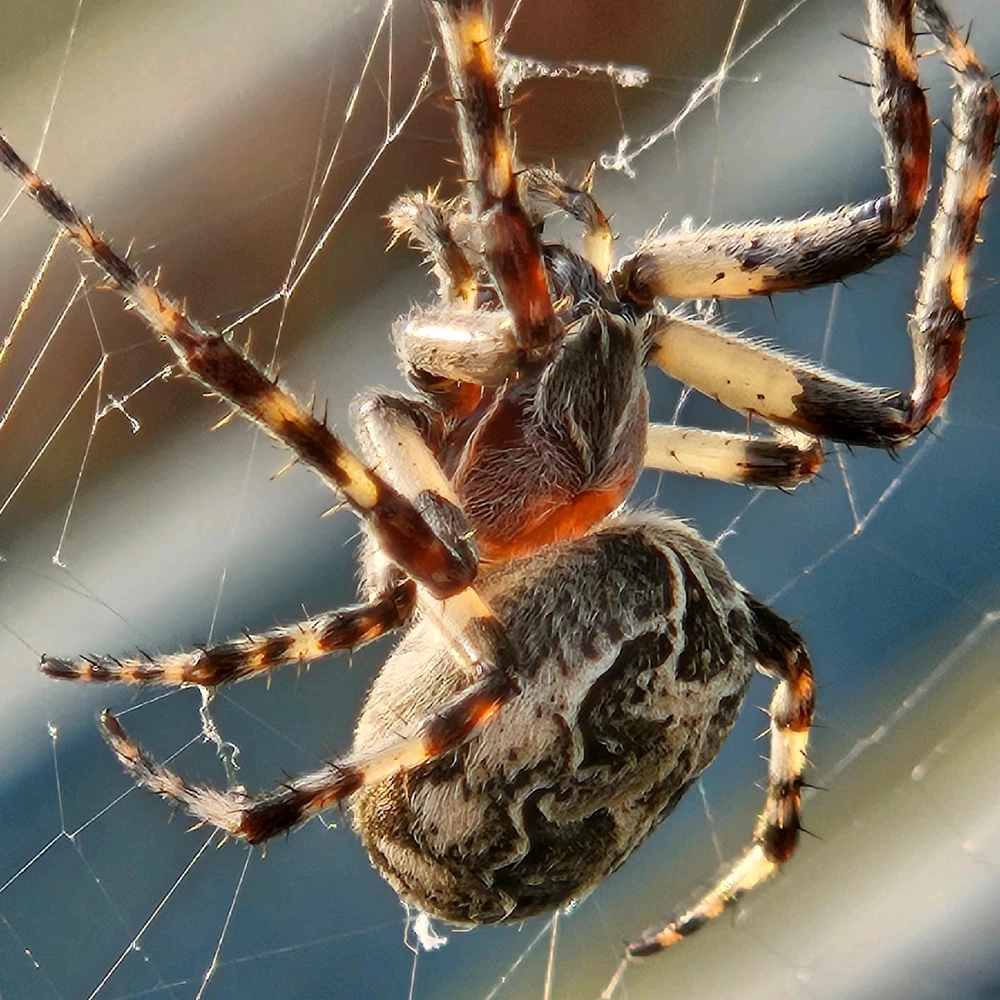 Immagine caricata da B