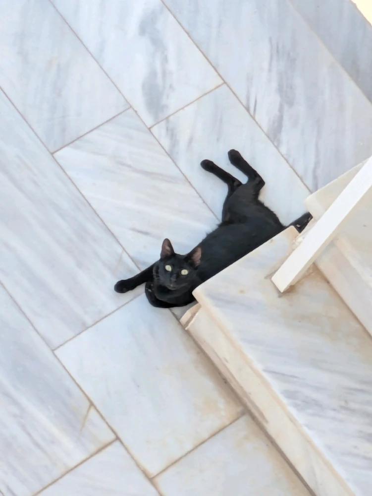 Afbeelding geüpload door Sarandis