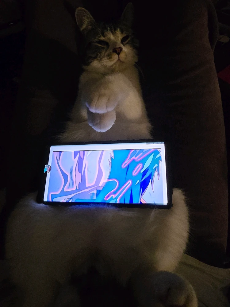 I-upload ni Aitor ang larawan