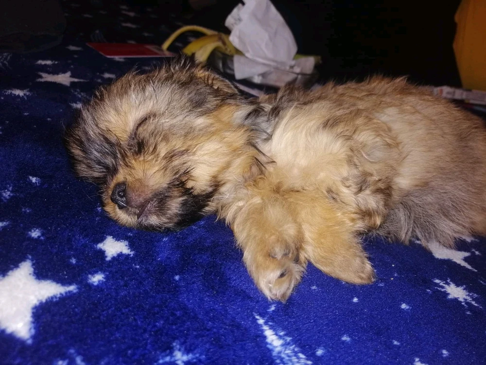 Imagine încărcată de Adrian