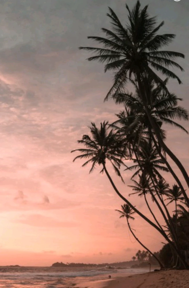 Image uploaded by ÌtssĞűňňěř🤙🤴