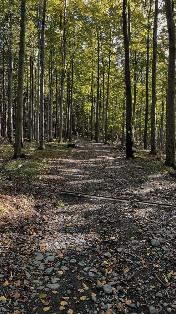 Obrázek nahrál MATY