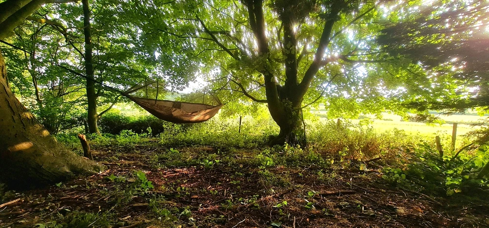 Image uploaded by • Bill •