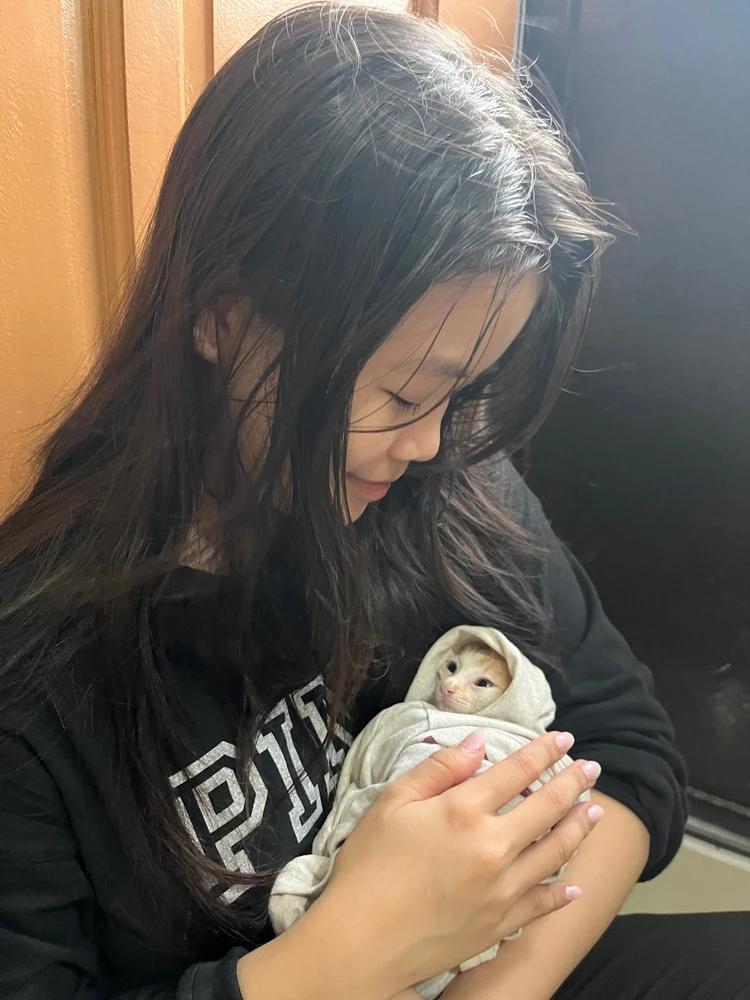 Image uploaded by Mai