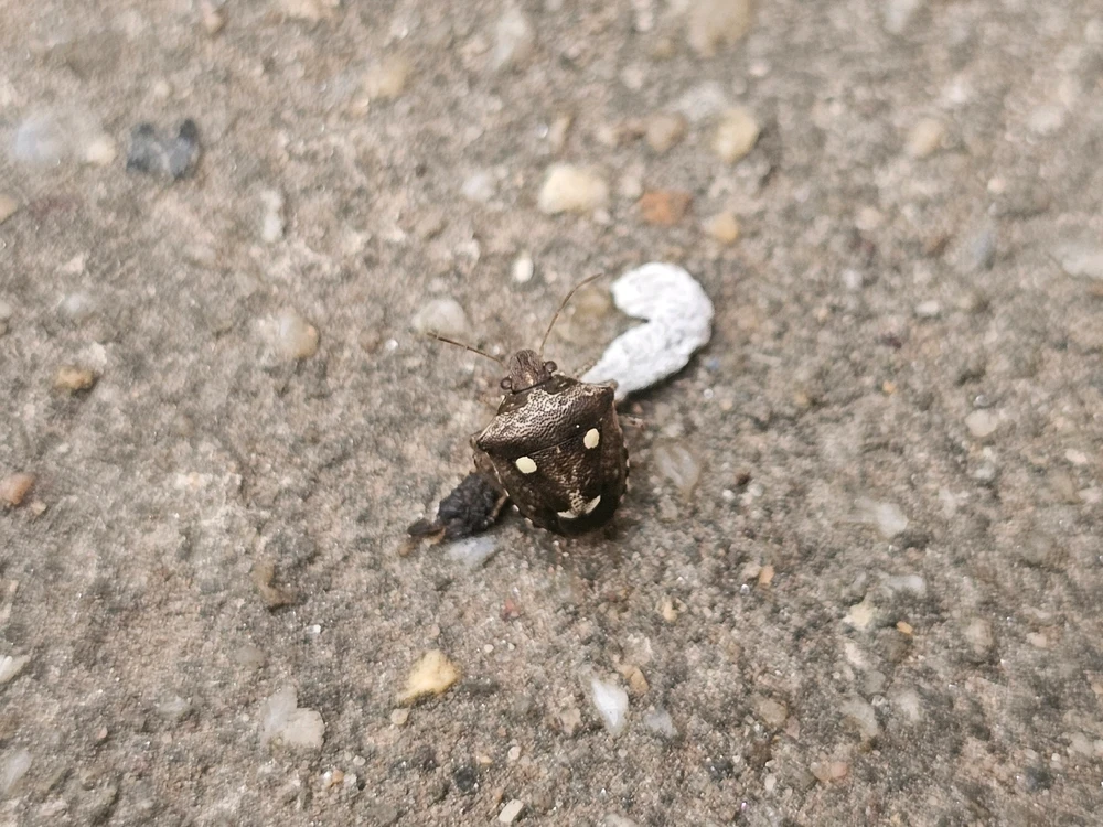 รูปที่อัพโหลดโดย Cocktail