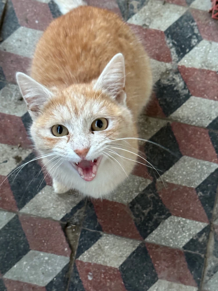 Tia által feltöltött kép