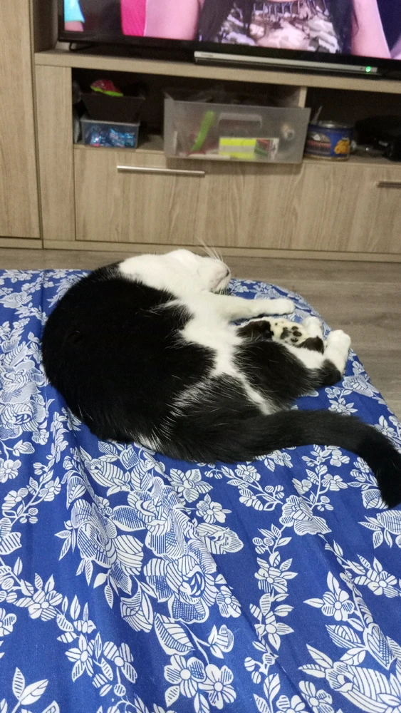 Imagen subida por Noelia