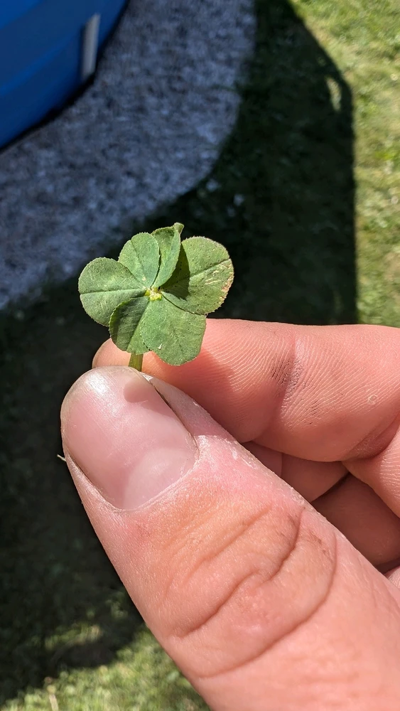 Obrázek nahrál Matěj