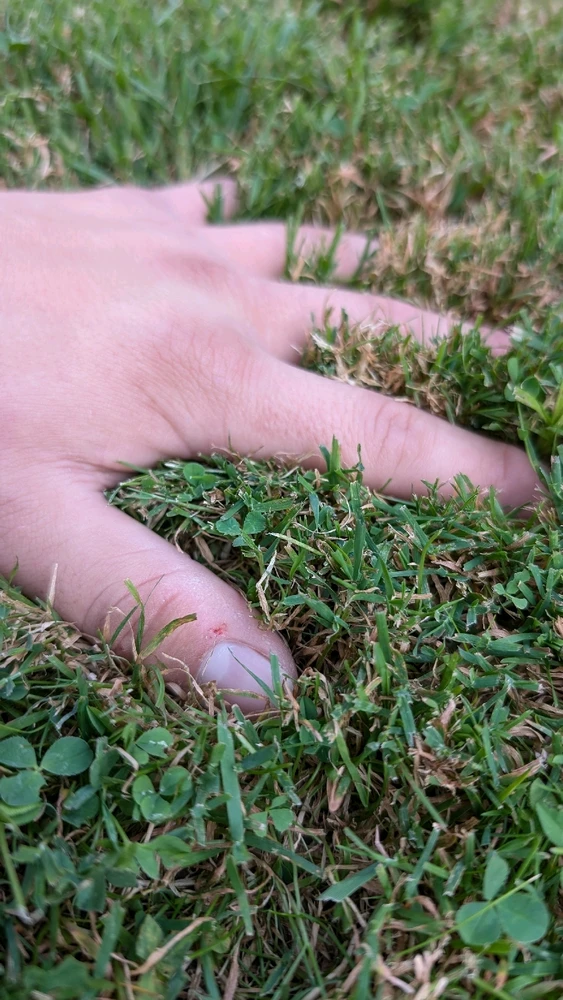 Obrázek nahrál Matěj