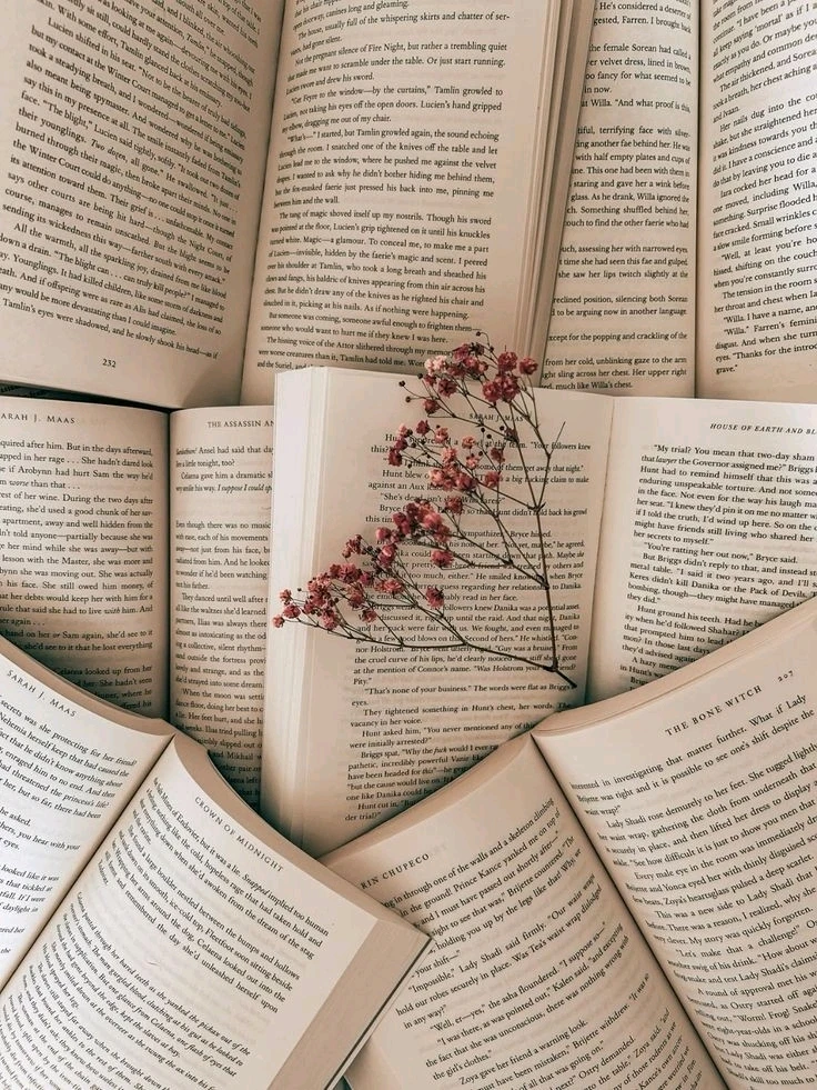 Immagine caricata da BeeQueen