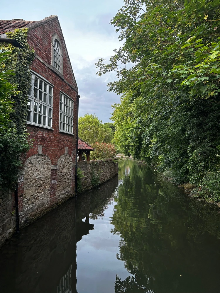 Gambar diunggah dening Shelley