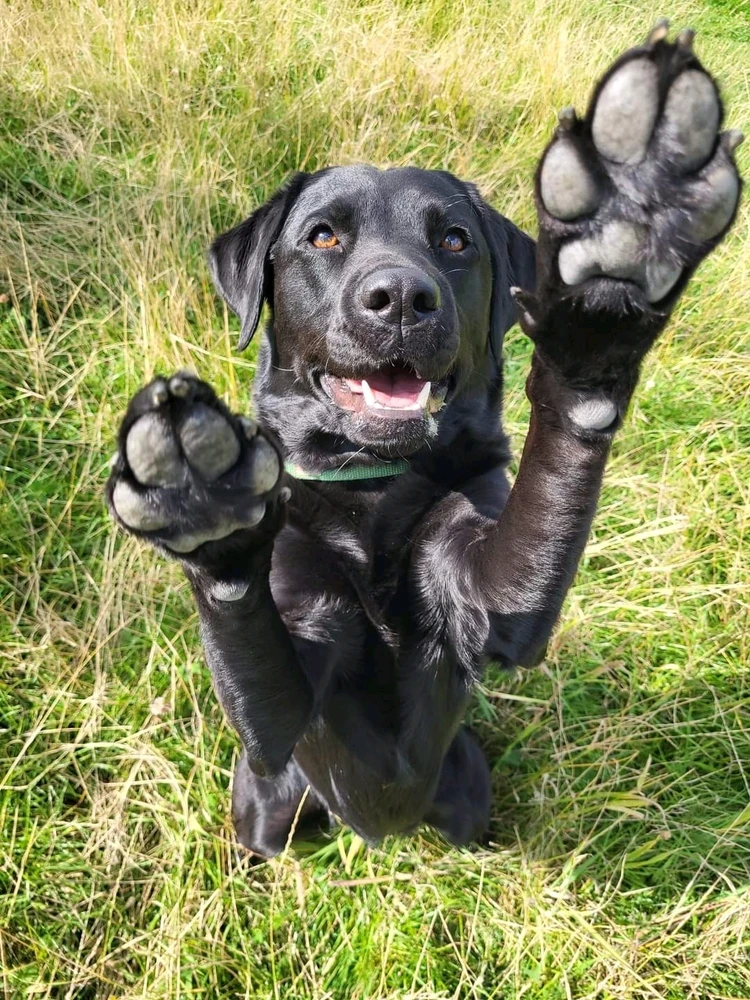 Afbeelding geüpload door Mike