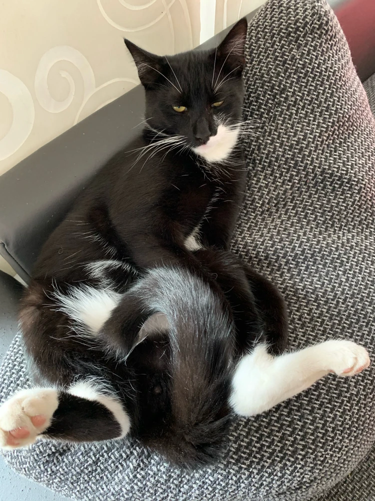 Bild hochgeladen von Andreas