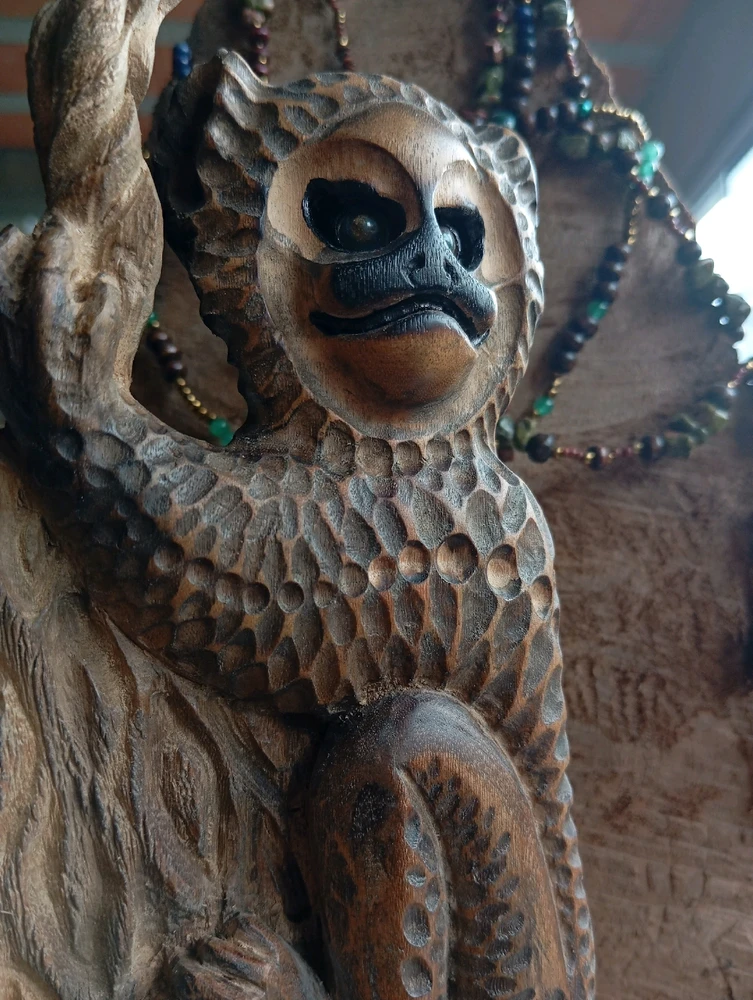 Imagem enviada por Fernando