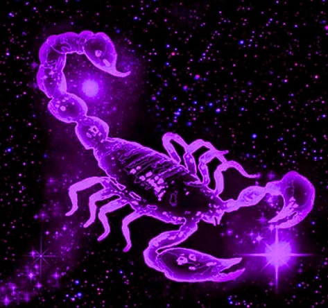 Фото загрузил Екатерина