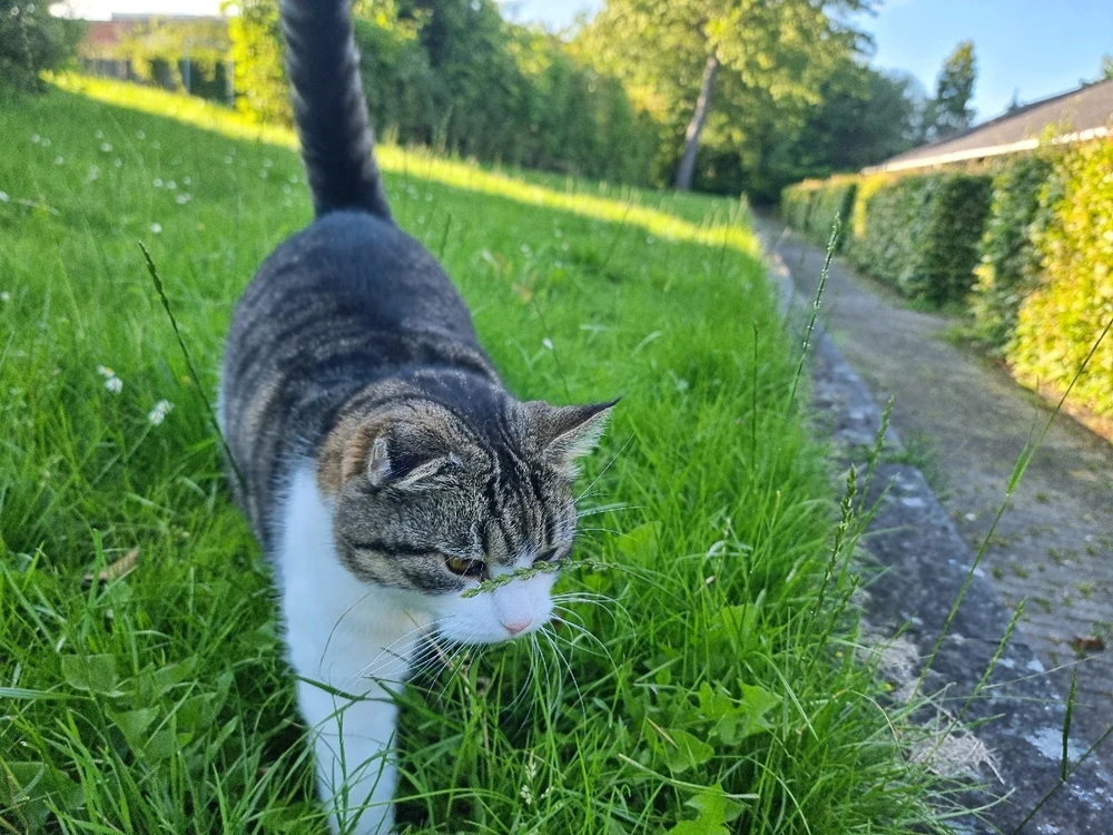 Image uploaded by 𝓒𝓪𝓵𝓵𝓲𝓮 🫧