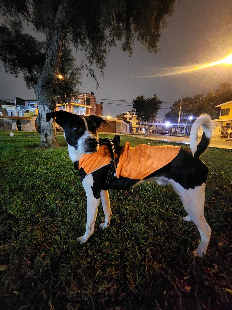 Image uploaded by Elias