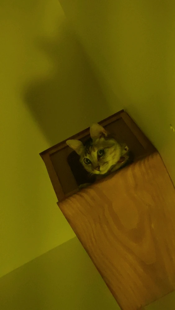 Imagem enviada por Elias