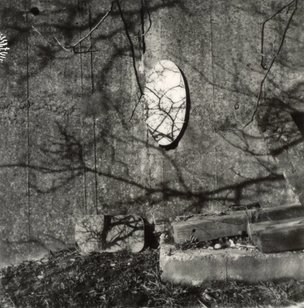 Obrázek nahrál Soni