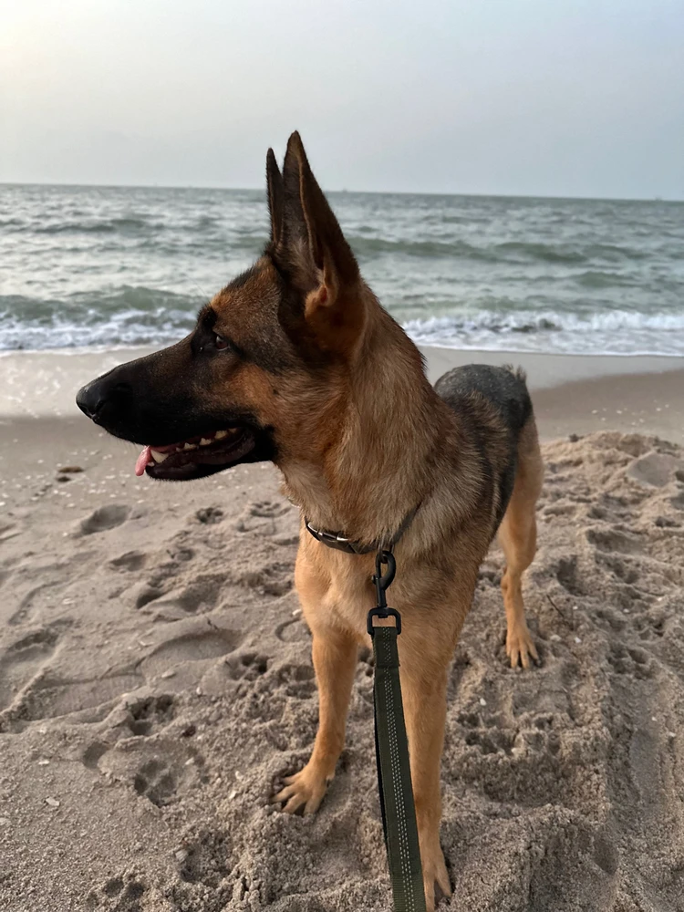 Image uploaded by ✌🏼