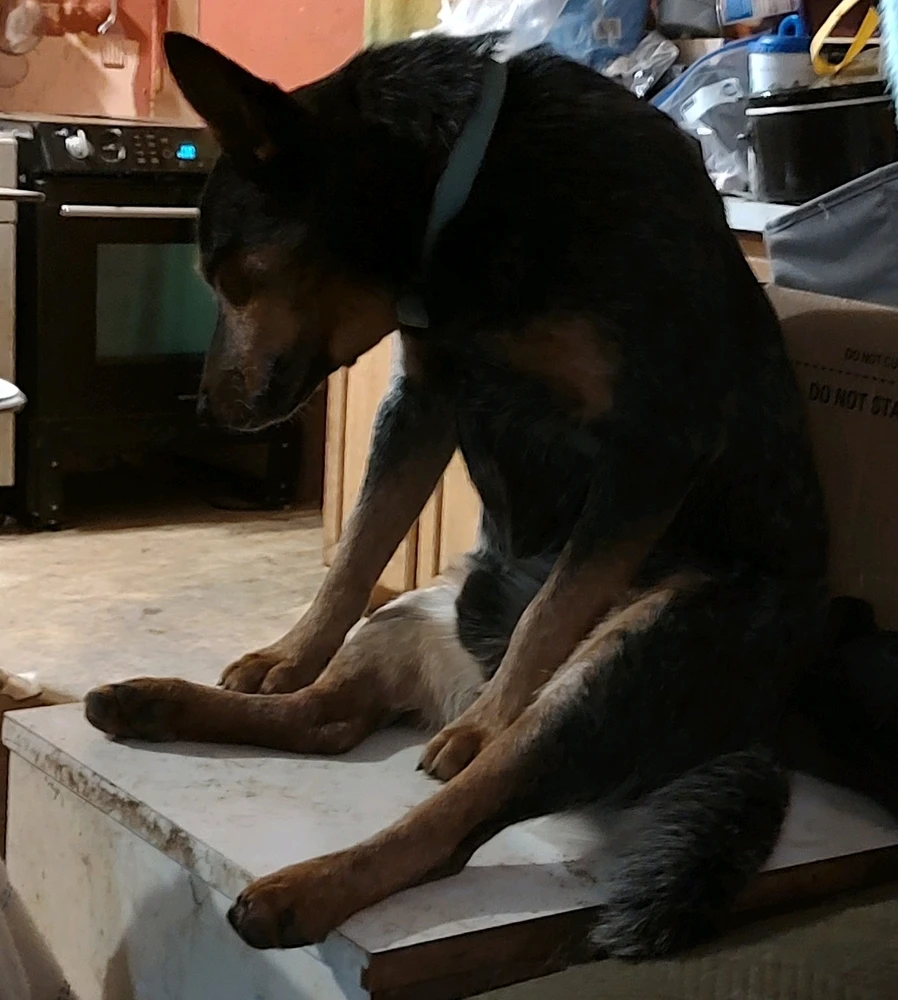 Image uploaded by Joanna