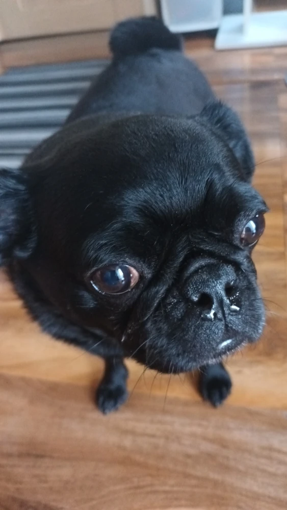 Image uploaded by River