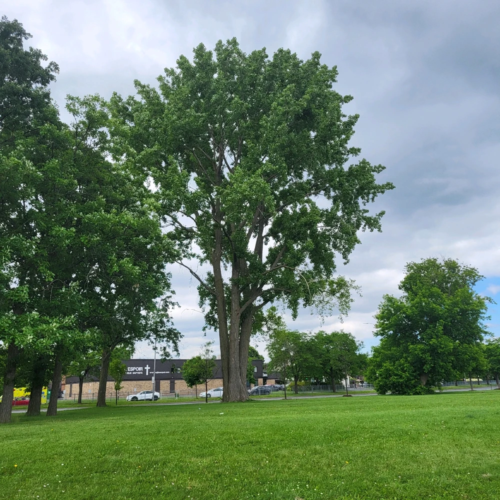 Image uploaded by Caroline 🇨🇦