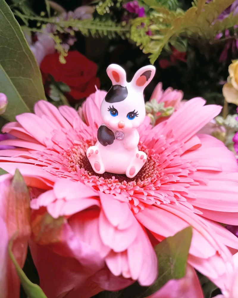 Image uploaded by Bitsy Bear