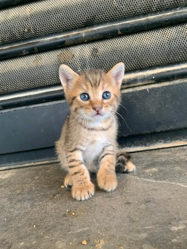 Image ajoutée par Malek