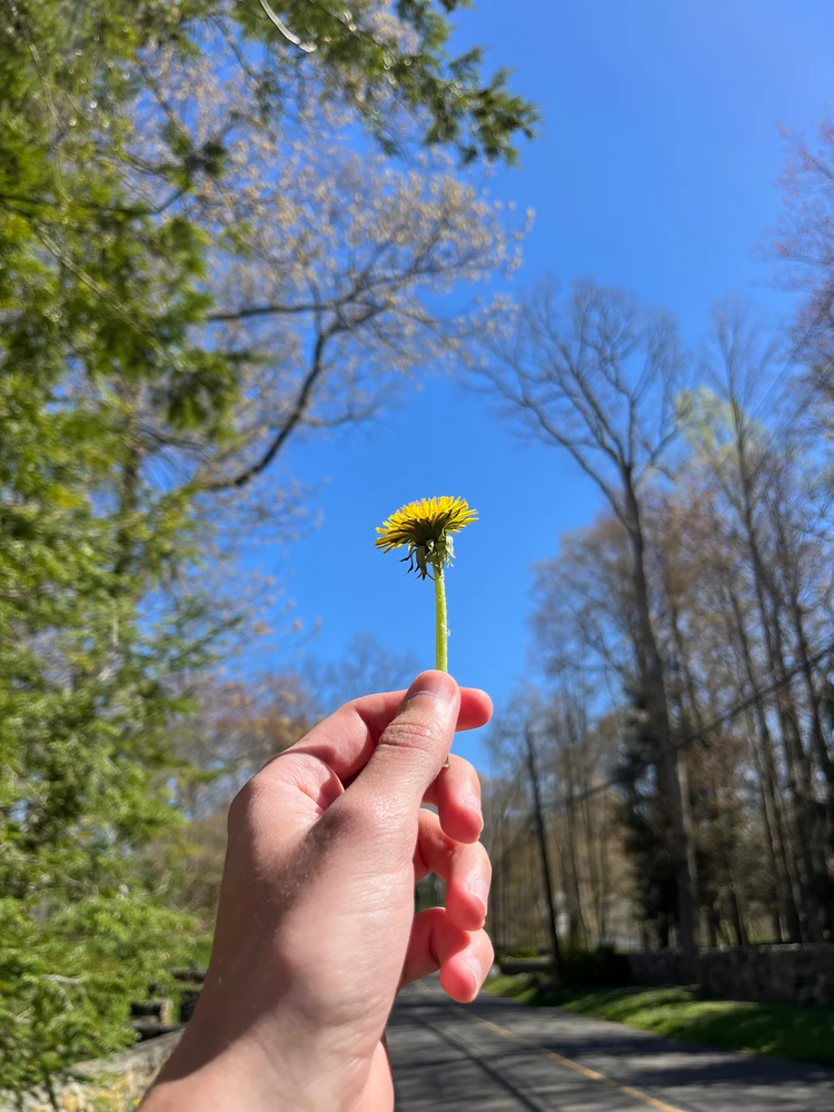Try to let go of what bothers you little, and focus on the task at hand