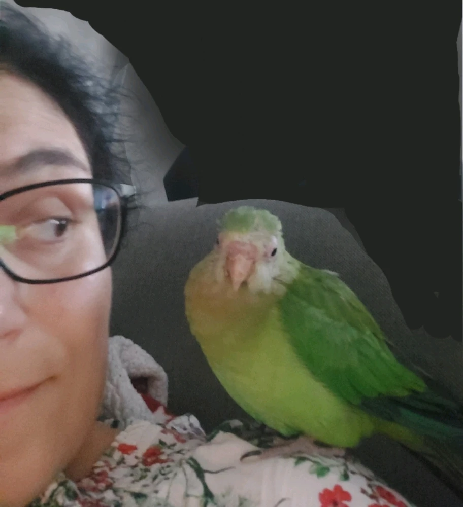 Obrázek nahrál Táňa