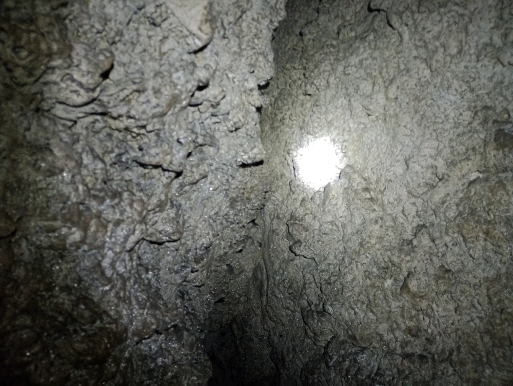Image uploaded by Mikołaj